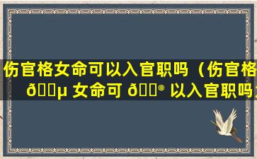 伤官格女命可以入官职吗（伤官格 🐵 女命可 💮 以入官职吗为什么）